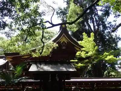 若宮八幡社の本殿・本堂