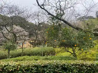 理智院(大阪府)