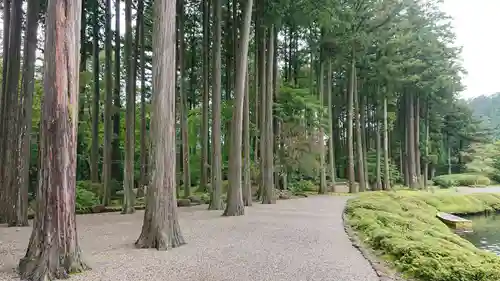 古峯神社の自然