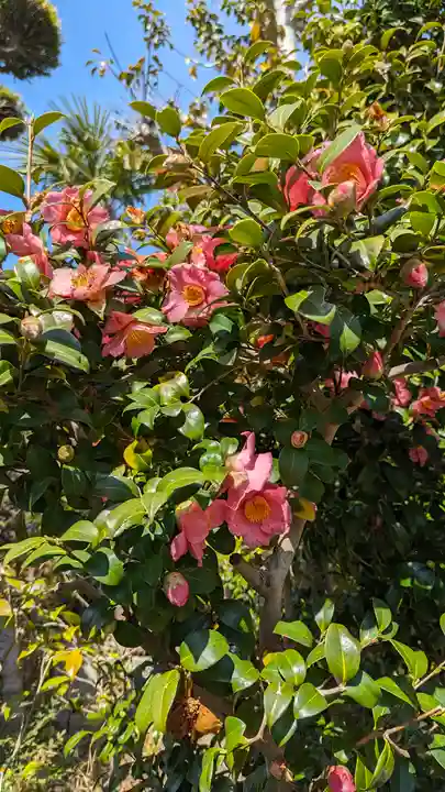 浄安寺(京都府)