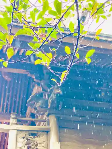 日先神社の自然