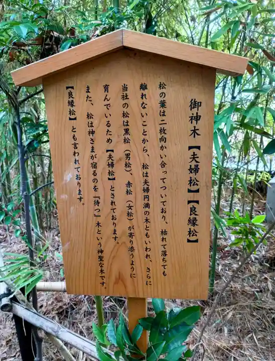 自由が丘熊野神社(東京都)