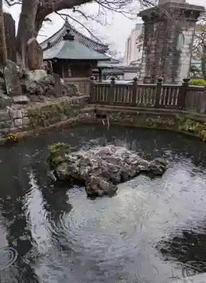 成田山新勝寺(千葉県)