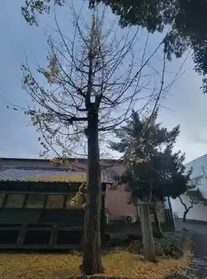 日招八幡大神社(愛媛県)