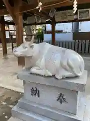 天神ノ森天満宮の狛犬