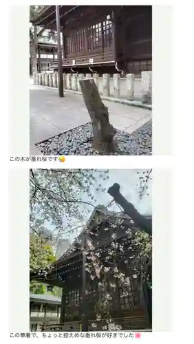 熊野神社(東京都)