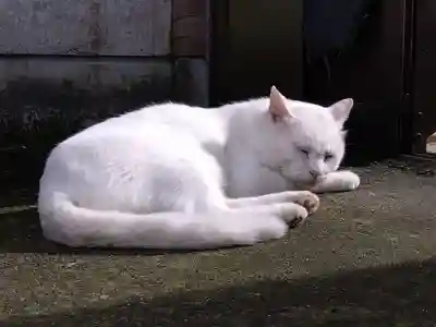 風巻神社(新潟県)