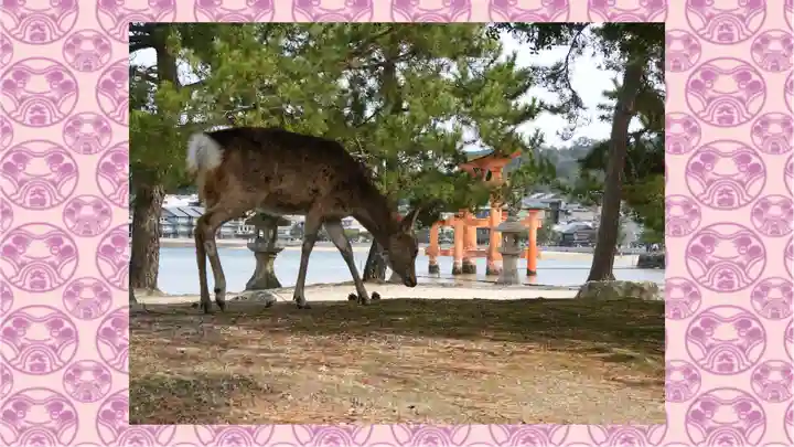 厳島神社(広島県)