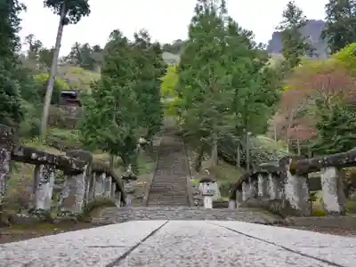 妙義神社(群馬県)