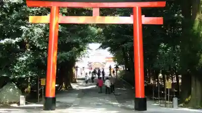 霧島神宮(鹿児島県)