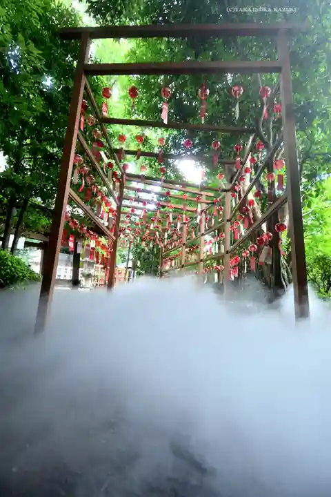 岩槻久伊豆神社(埼玉県)