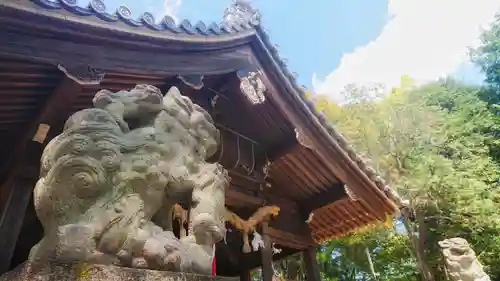 川曲神社（子生和町）の狛犬