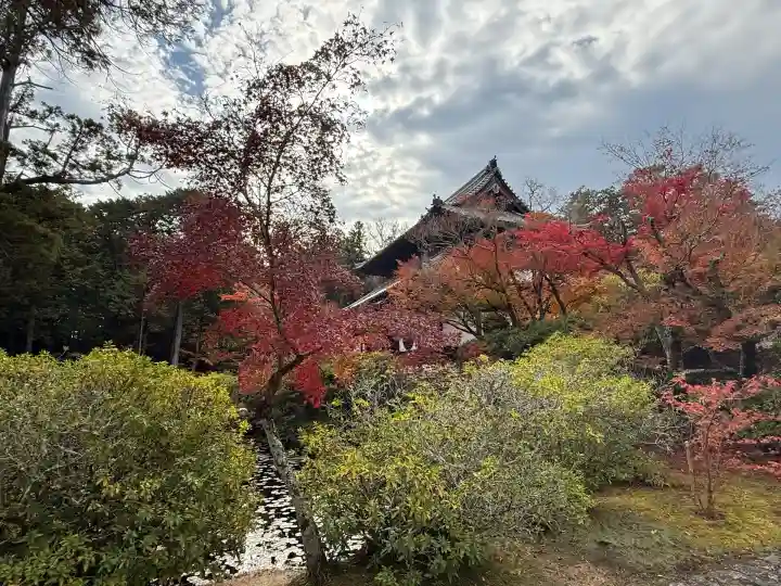井山 宝福寺(岡山県)