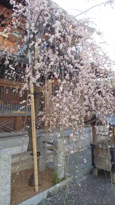 湯島天満宮の庭園