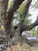 大水神社(皇大神宮摂社)・川相神社(皇大神宮末社)・熊淵神社(皇大神宮末社)(三重県)