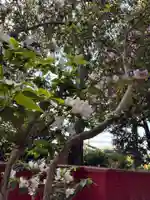 拂田稲荷神社(埼玉県)