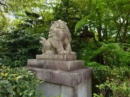 晴明神社の狛犬