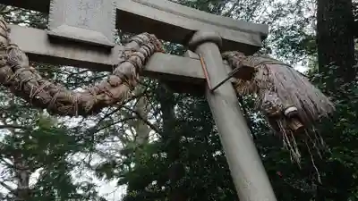 奥澤神社の鳥居