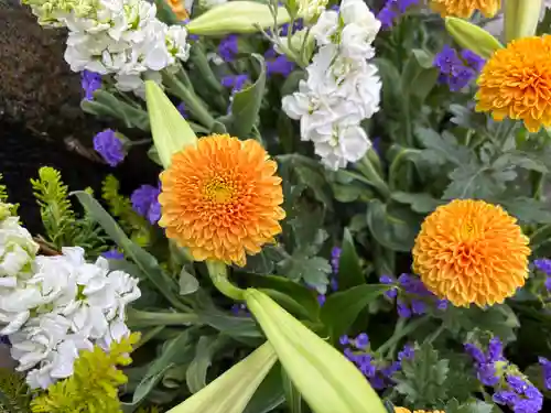 上尾御嶽神社の手水舎