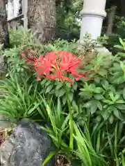 菊田神社の自然