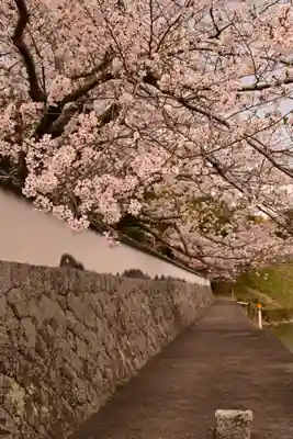 久妙寺(愛媛県)