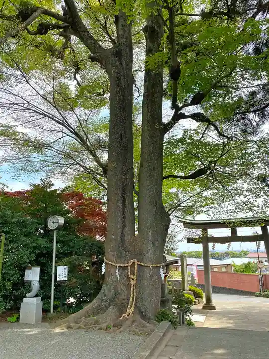比々多神社のその他建物