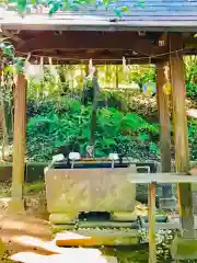 成田熊野神社の手水