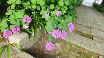 大隣寺(福島県)