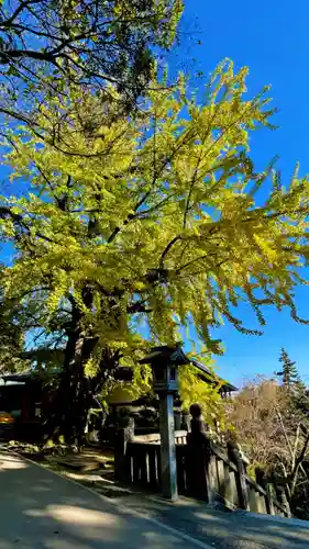 金刀比羅宮(香川県)