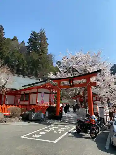 金櫻神社(山梨県)