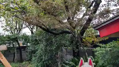 北原稲荷神社の自然