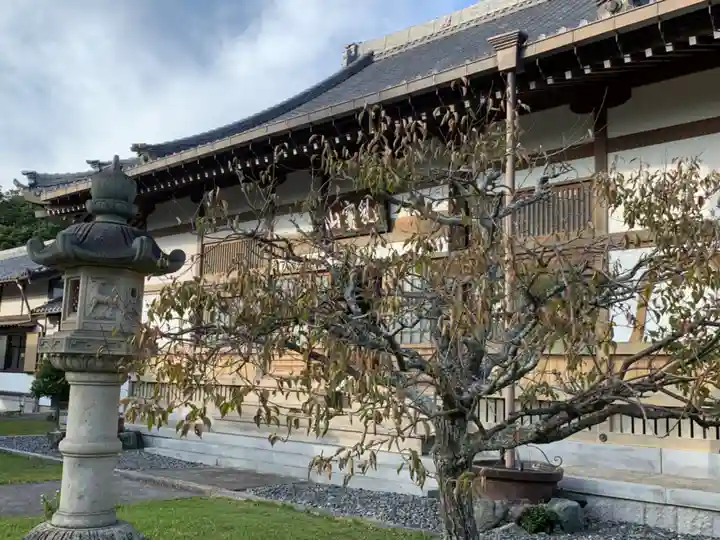 報恩寺の本殿・本堂