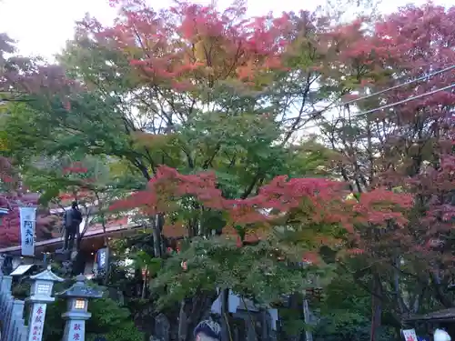 大山阿夫利神社の自然