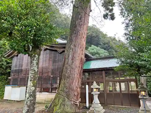 宇波西神社の本殿