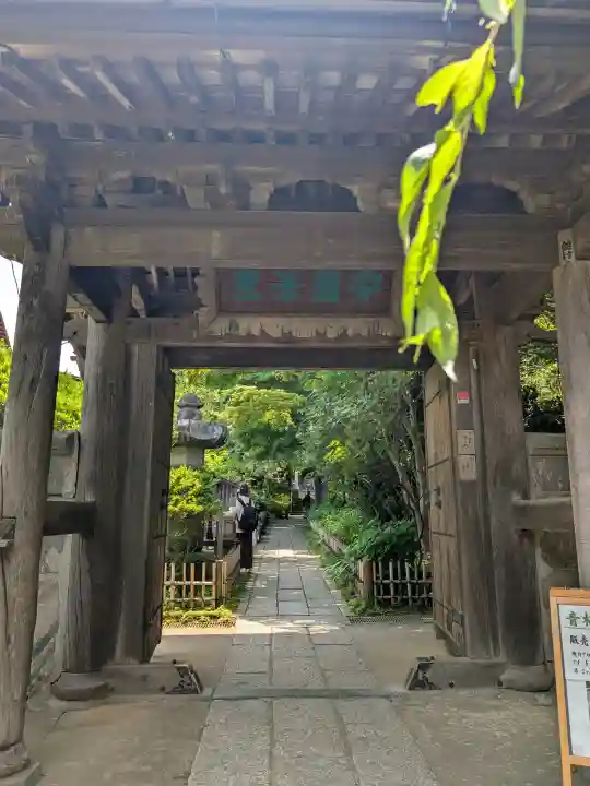 安國論寺(安国論寺)(神奈川県)