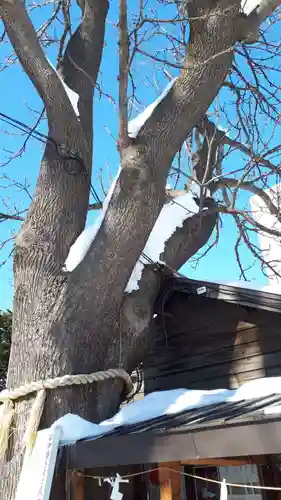 札幌諏訪神社のその他建物