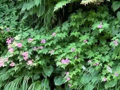 高龍神社(新潟県)