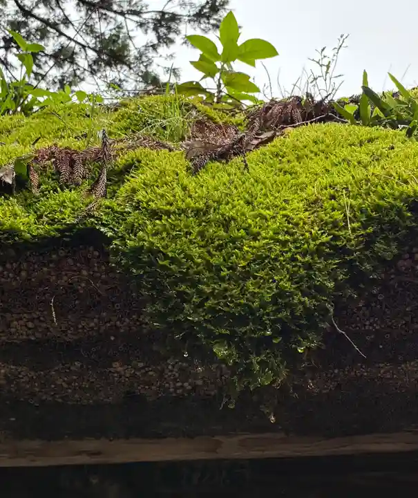 常陸國總社宮(茨城県)