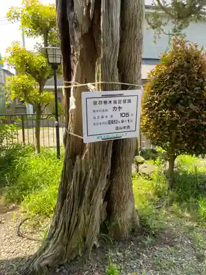 浅間神社(千葉県)