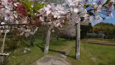 伊多神社(鹿児島県)