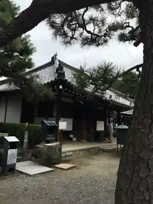 葛井寺(大阪府)