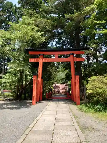 丹生都比売神社の鳥居