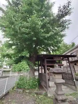 蘇我比咩神社(千葉県)