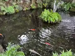 秩父今宮神社(埼玉県)