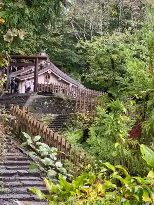 戸隠神社奥社の{uncategorized: "未分類", other: "その他", undefined: "問題あり", building: "その他建物", grave: "お墓", sacred_gate: "鳥居", guardian: "狛犬", statue: "像", buddha: "仏像", history: "歴史", nature: "自然", garden: "庭園", animal: "動物", pagoda: "塔", temizu: "手水舎", mountain_gate: "山門・神門", sanctuary: "本殿・本堂", subordinate: "末社・摂社", art: "芸術", scenery: "景色", jizo: "地蔵", ema: "絵馬", goshuin: "御朱印", omikuji: "おみくじ", items: "授与品その他", amulet: "お守り", goshuincho: "御朱印帳", eats: "食事", festival: "お祭り", votive_dance: "神楽", shichigosan: "七五三参", wedding: "結婚式", experience: "体験その他", initially: "初詣", around: "周辺", anti_infection: "感染症対策"}
