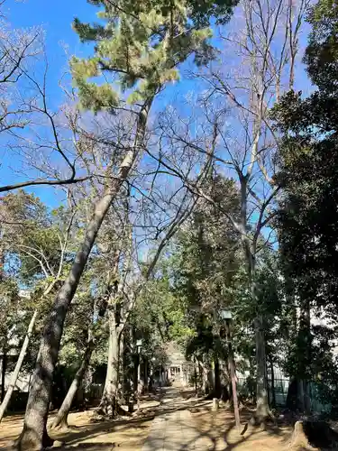 八雲氷川神社(東京都)