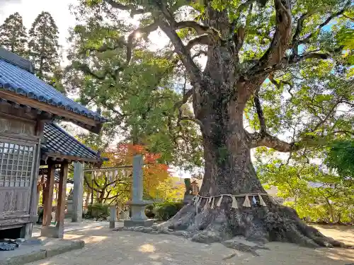 六所神社(福岡県)