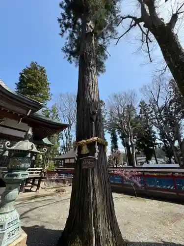 飛驒天満宮(岐阜県)