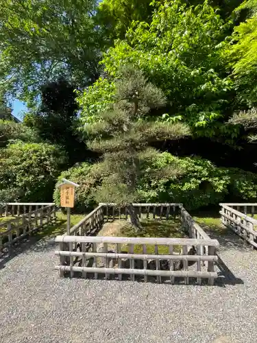 長谷寺(奈良県)