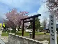 神居神社遥拝所の{uncategorized: "未分類", other: "その他", undefined: "問題あり", building: "その他建物", grave: "お墓", sacred_gate: "鳥居", guardian: "狛犬", statue: "像", buddha: "仏像", history: "歴史", nature: "自然", garden: "庭園", animal: "動物", pagoda: "塔", temizu: "手水舎", mountain_gate: "山門・神門", sanctuary: "本殿・本堂", subordinate: "末社・摂社", art: "芸術", scenery: "景色", jizo: "地蔵", ema: "絵馬", goshuin: "御朱印", omikuji: "おみくじ", items: "授与品その他", amulet: "お守り", goshuincho: "御朱印帳", eats: "食事", festival: "お祭り", votive_dance: "神楽", shichigosan: "七五三参", wedding: "結婚式", experience: "体験その他", initially: "初詣", around: "周辺", anti_infection: "感染症対策"}